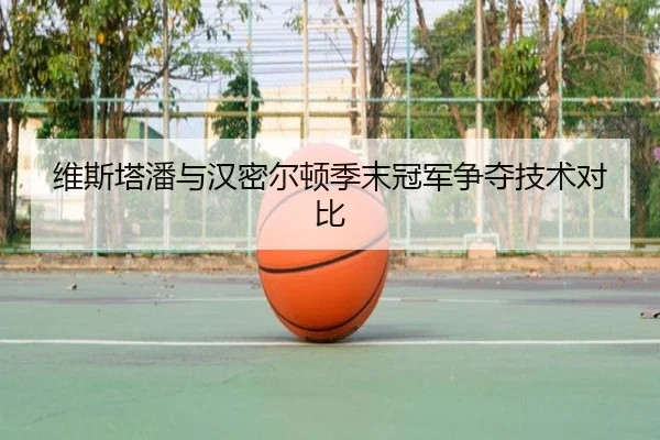 维斯塔潘与汉密尔顿季末冠军争夺技术对比